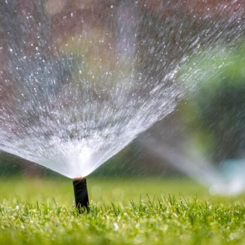 plastic-sprinkler-irrigating-grass-lawn-with-water-summer-garden-watering-green-vegetation-duging-dry-season-maintaining-it-fresh_127089-18514